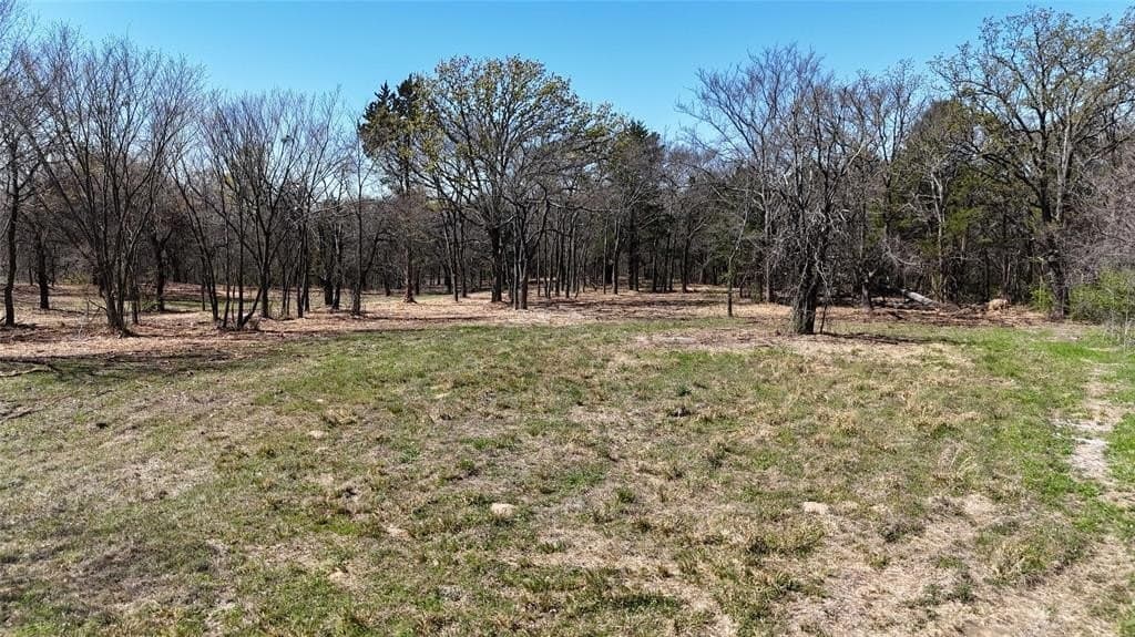 4.19 acres in Grayson County - photo 6