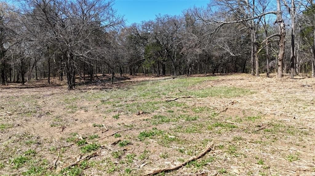 4.19 acres in Grayson County - photo 4