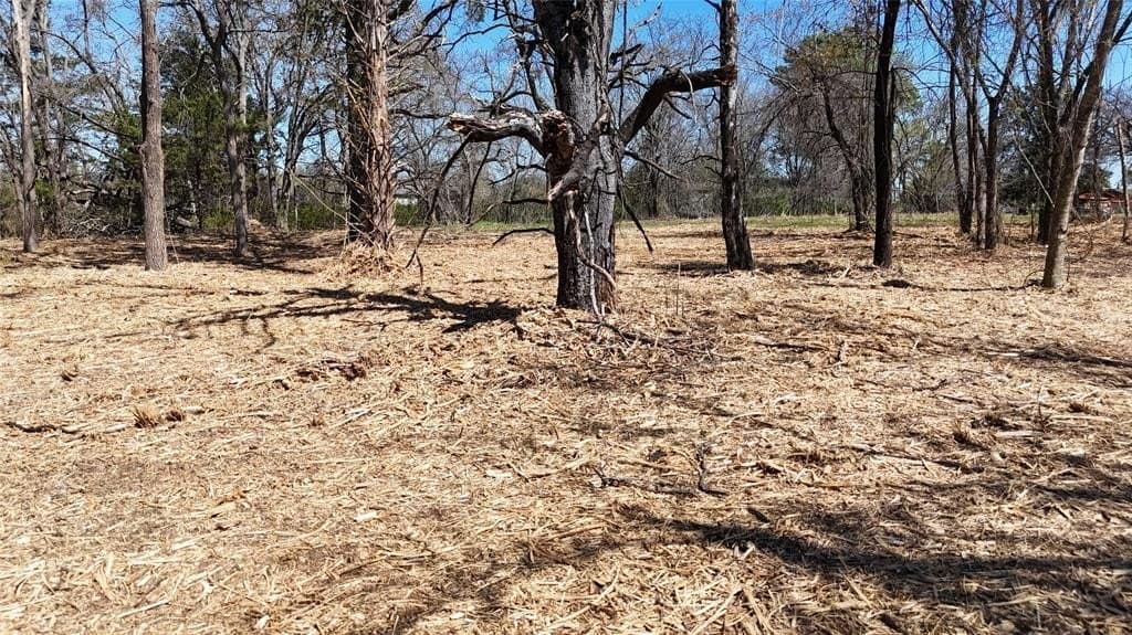 4.19 acres in Grayson County - photo 5