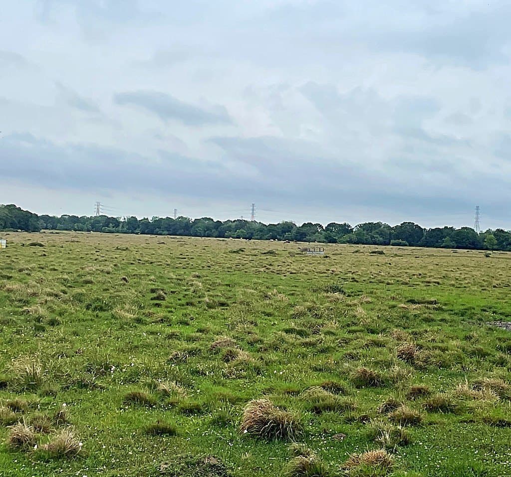 20 acres in Texas County - photo 3