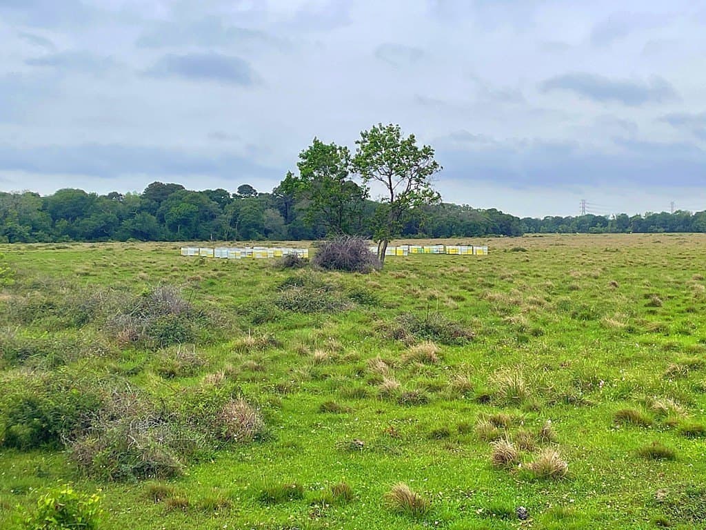 20 acres in Texas County - photo 2