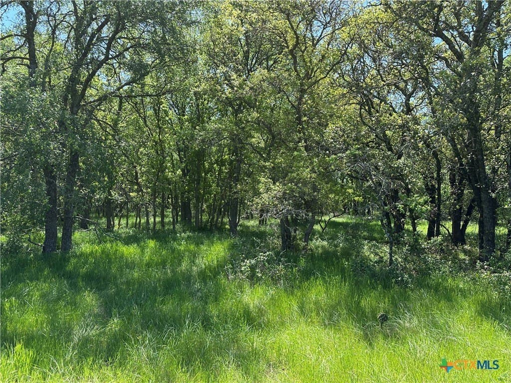 23.49 acres in Coryell County - photo 18