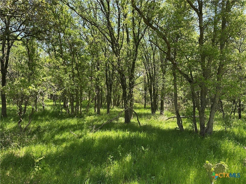 23.49 acres in Coryell County - photo 12