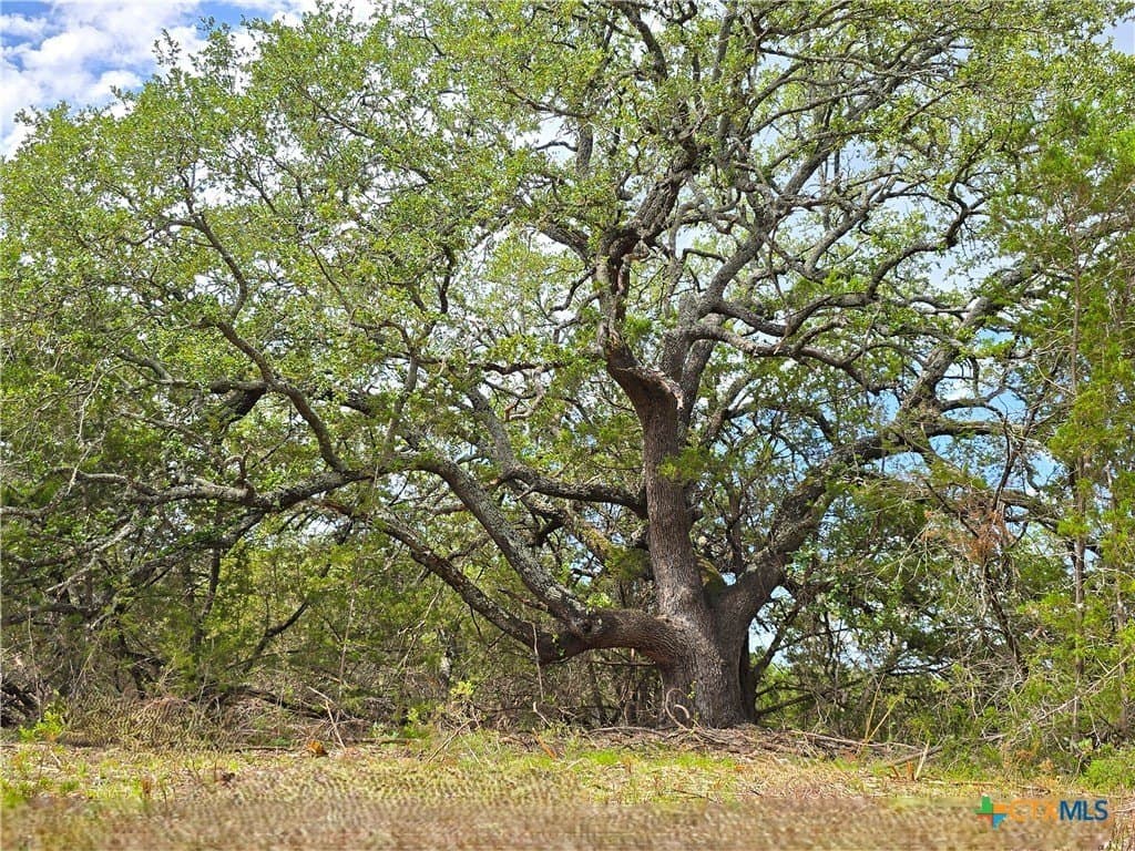 15 acres in Burnet County - photo 2