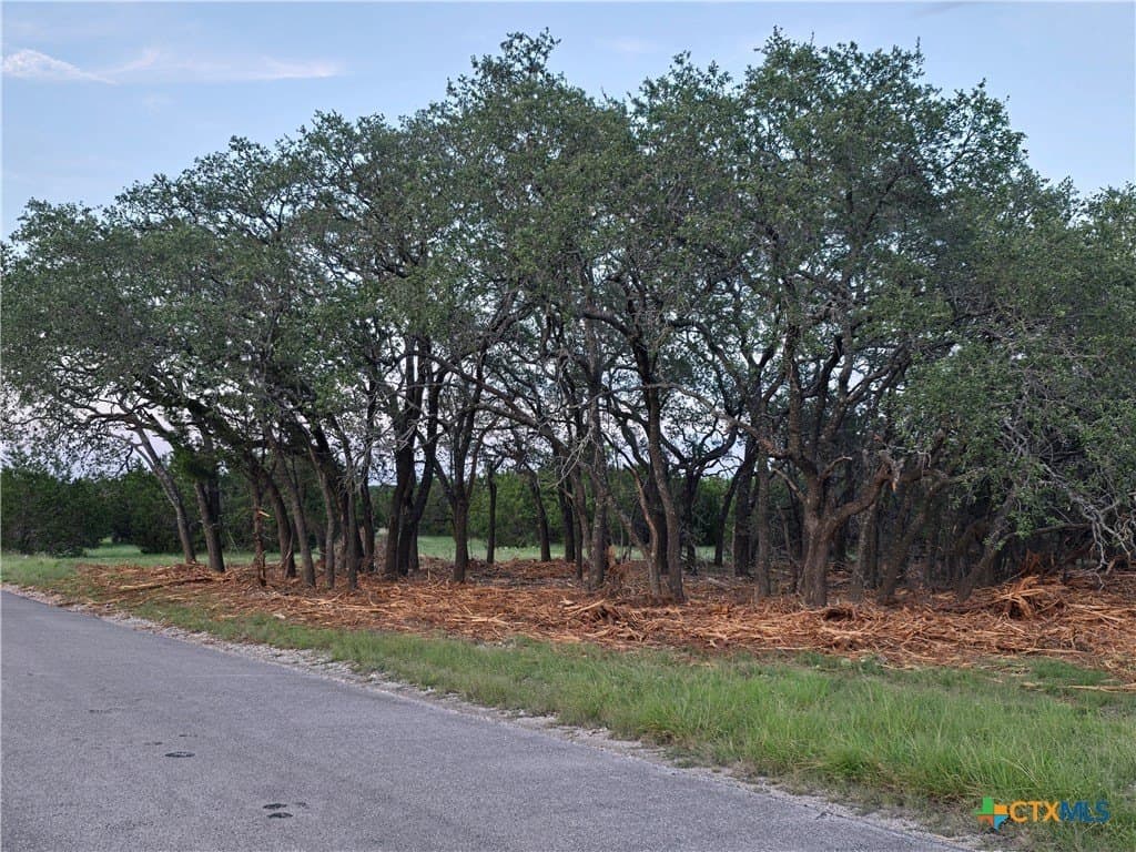 15 acres in Burnet County - photo 10