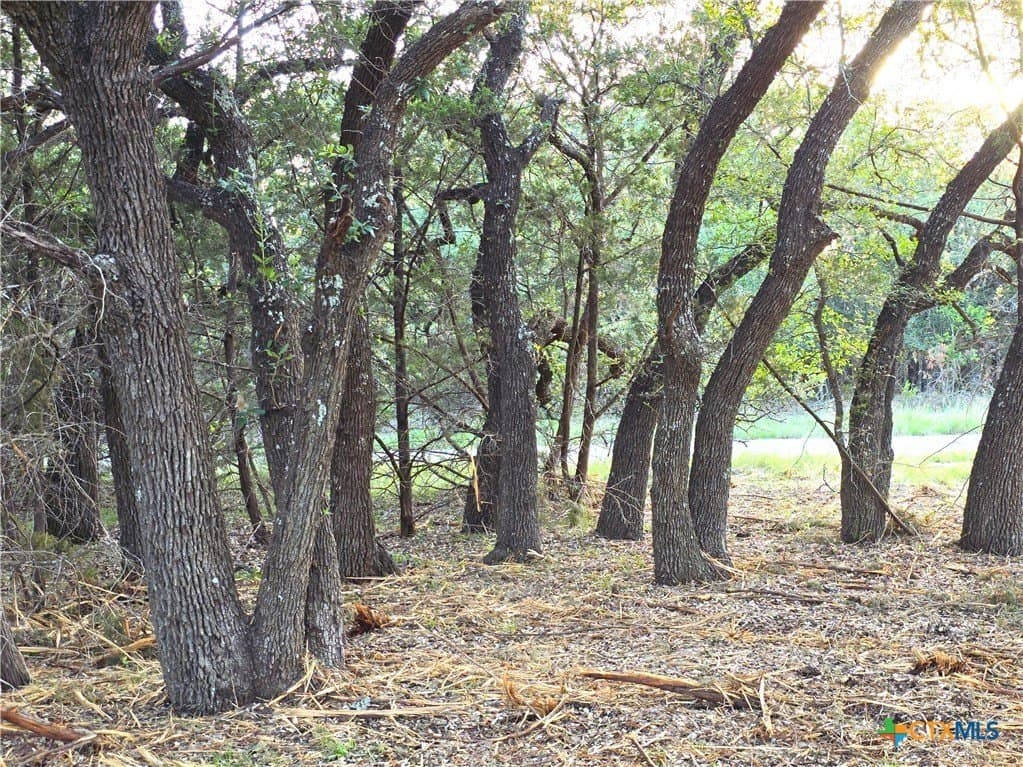 15 acres in Burnet County - photo 11