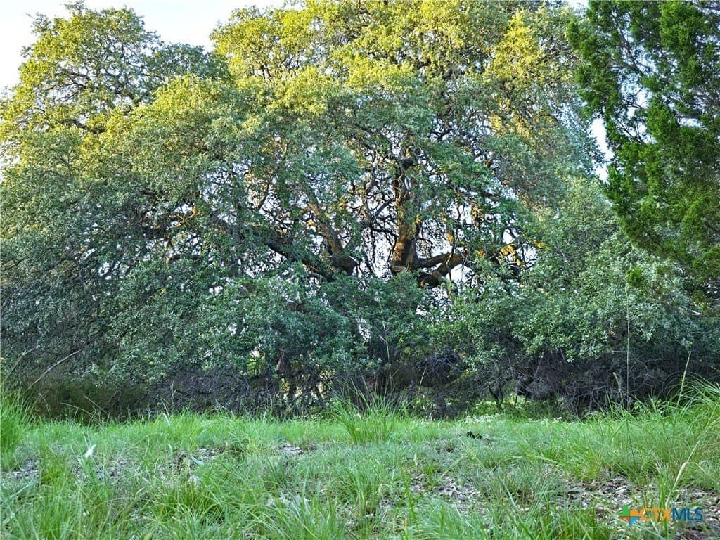 15 acres in Burnet County - photo 4