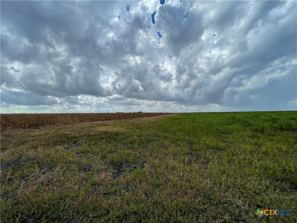 189.79 acres in Calhoun County - photo 5