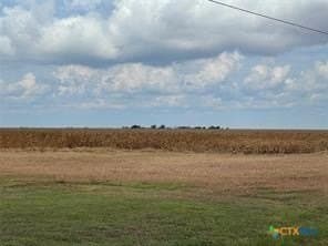 189.79 acres in Calhoun County - photo 8