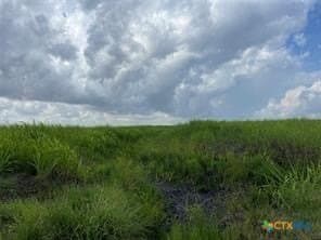 189.79 acres in Calhoun County - photo 6