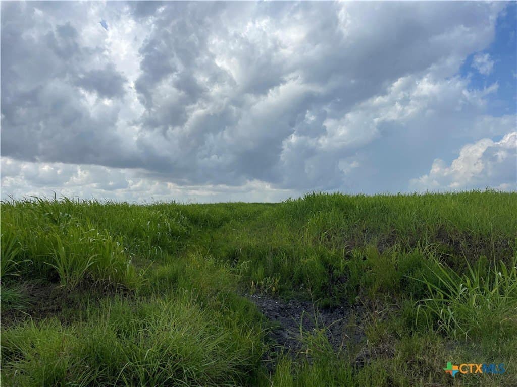 189.79 acres in Calhoun County - photo 7