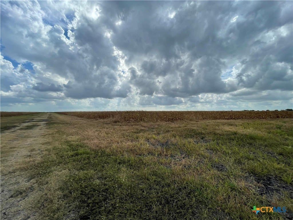 189.79 acres in Calhoun County - photo 4