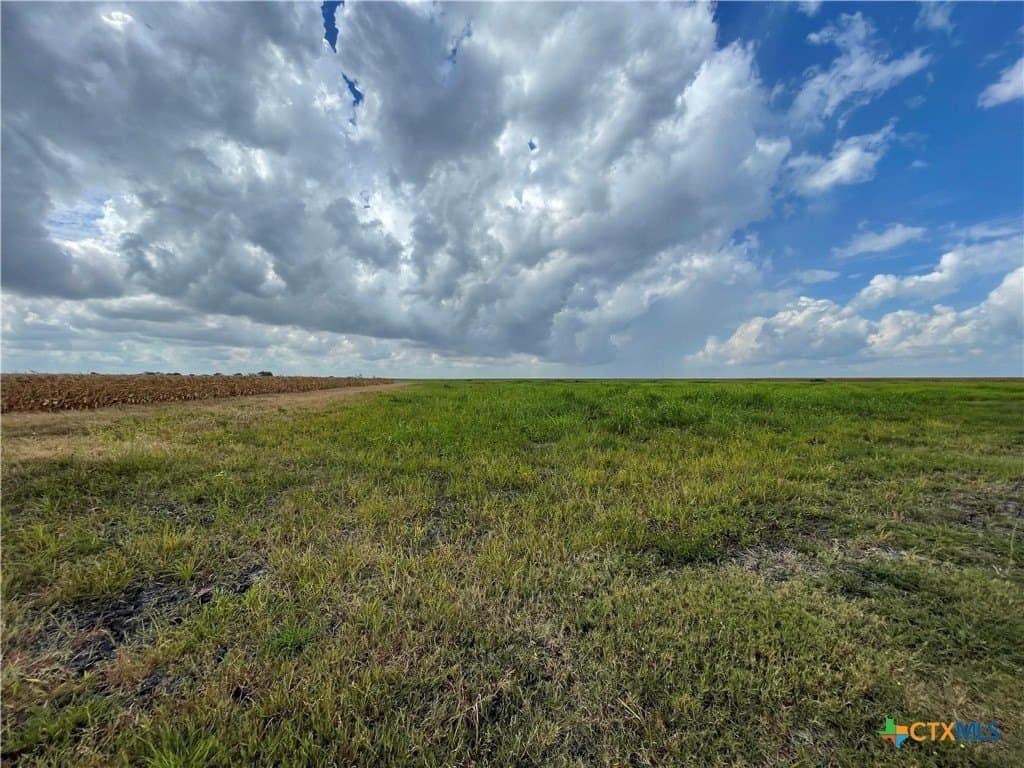189.79 acres in Calhoun County - photo 3