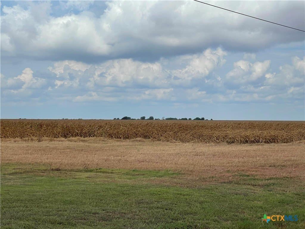 189.79 acres in Calhoun County - photo 9
