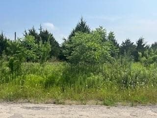 21982 County Road 4072