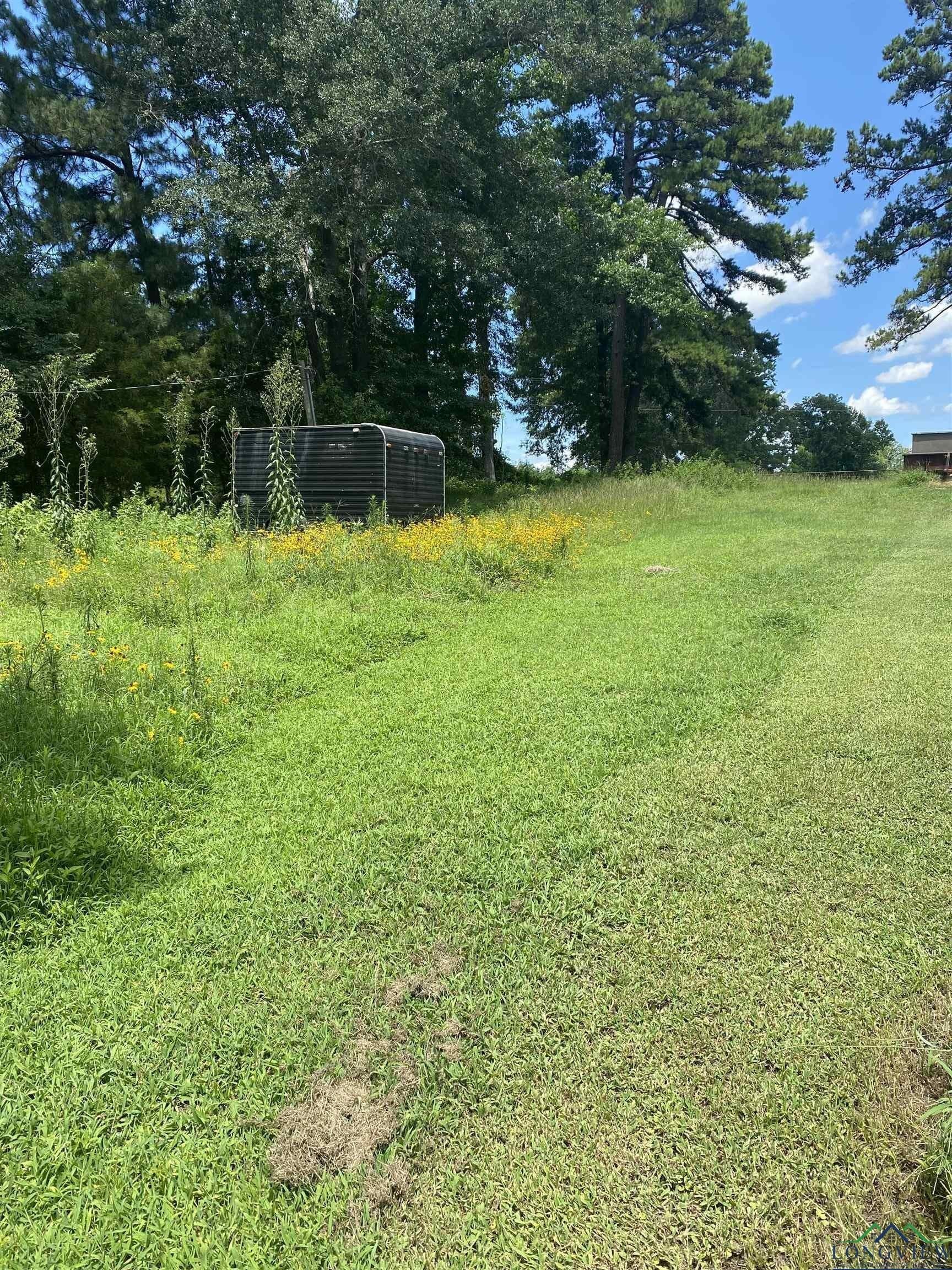0.22 acres in Gregg County - photo 2