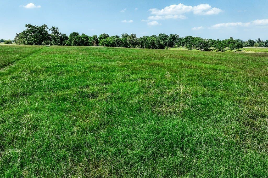 23.19 acres in Washington County - photo 5