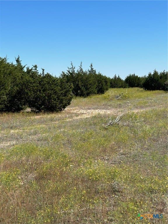 312.24 acres in Coryell County - photo 16