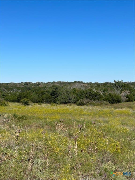 312.24 acres in Coryell County - photo 26