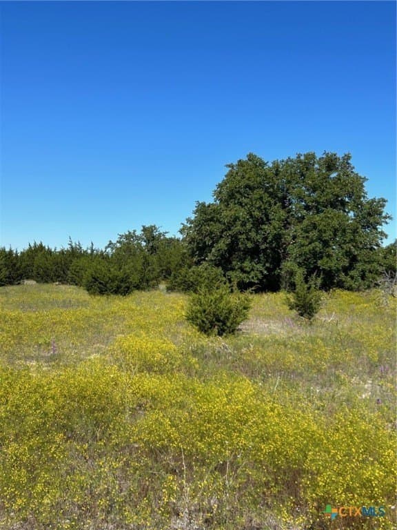312.24 acres in Coryell County - photo 2