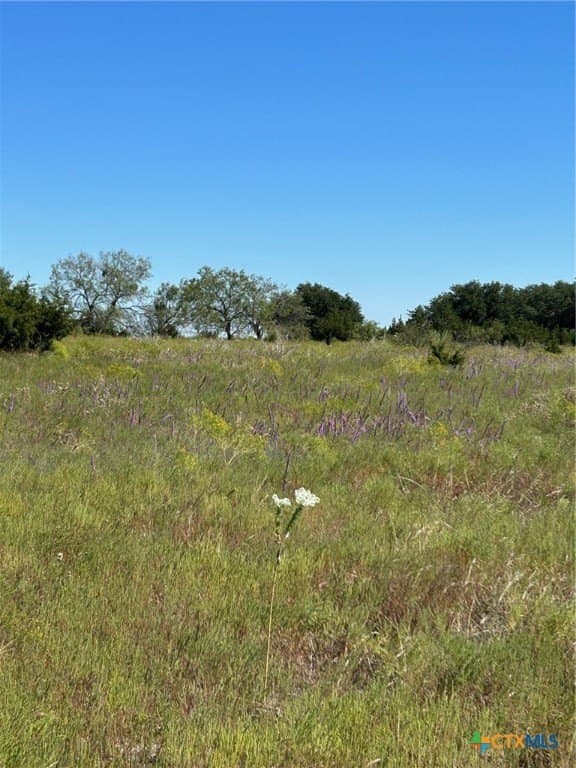 312.24 acres in Coryell County - photo 3