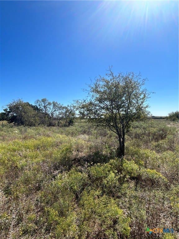 312.24 acres in Coryell County - photo 11