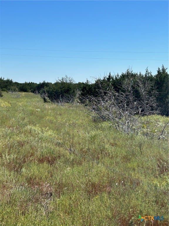 312.24 acres in Coryell County - photo 14
