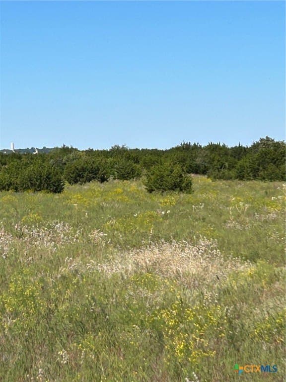 312.24 acres in Coryell County - photo 6