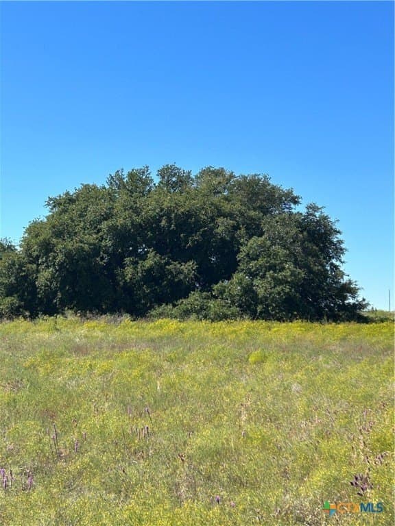 312.24 acres in Coryell County - photo 24