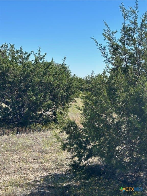 312.24 acres in Coryell County - photo 15