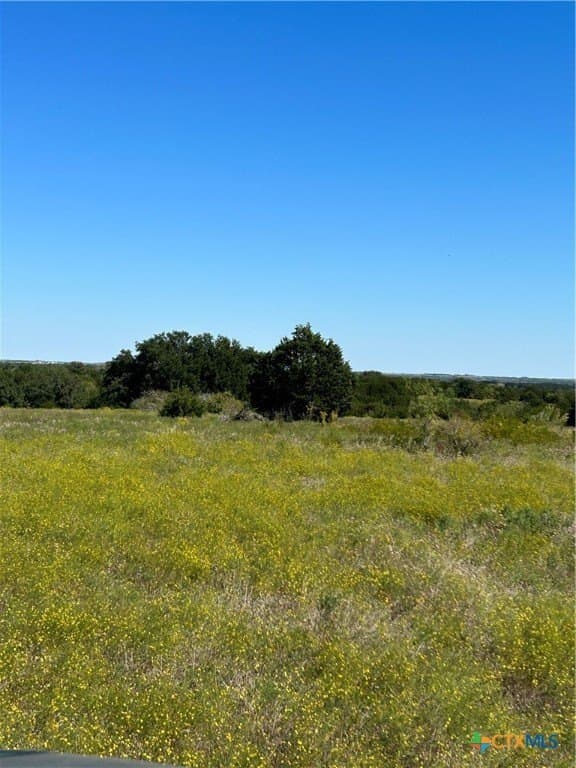 312.24 acres in Coryell County - photo 23