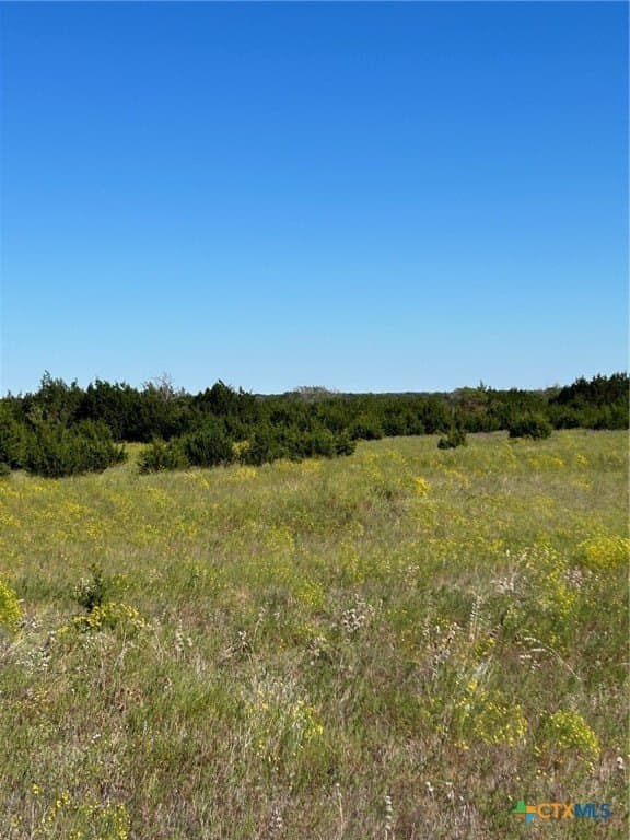 312.24 acres in Coryell County - photo 21