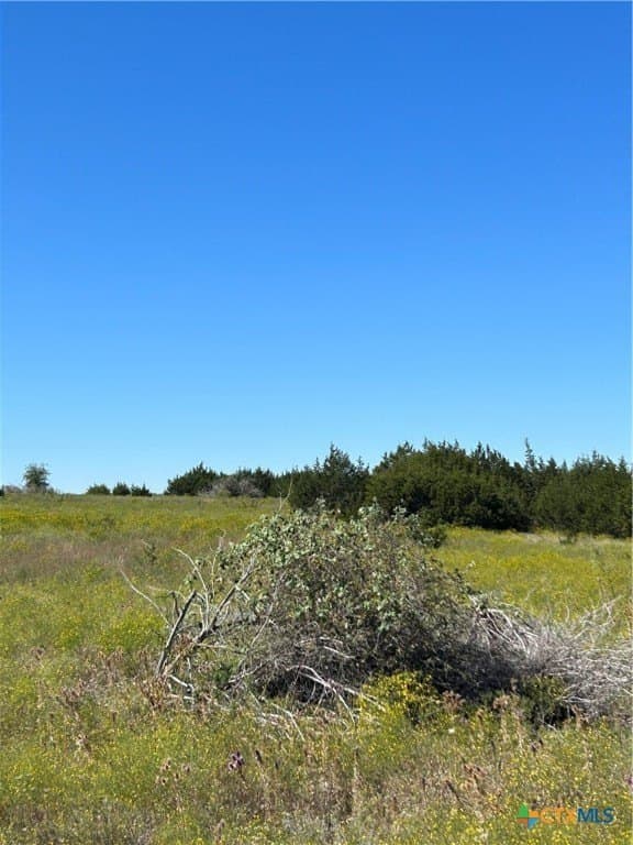 312.24 acres in Coryell County - photo 9