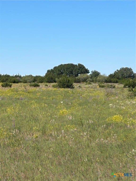 312.24 acres in Coryell County - photo 31