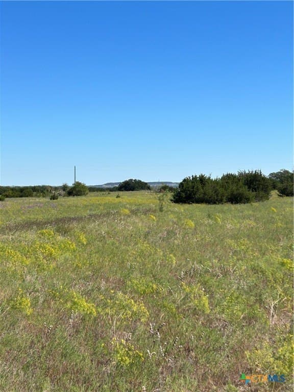 312.24 acres in Coryell County - photo 22