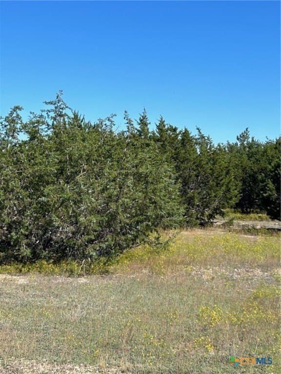 312.24 acres in Coryell County - photo 5