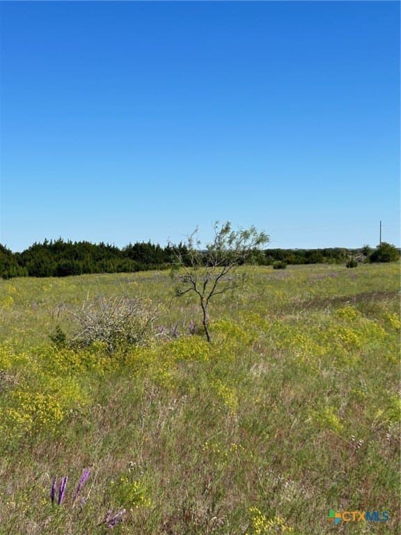 312.24 acres in Coryell County - photo 7