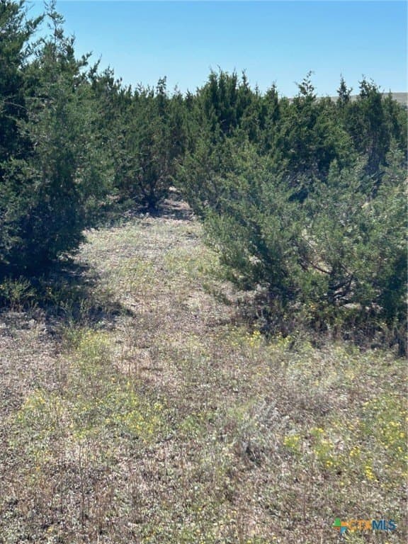 312.24 acres in Coryell County - photo 17
