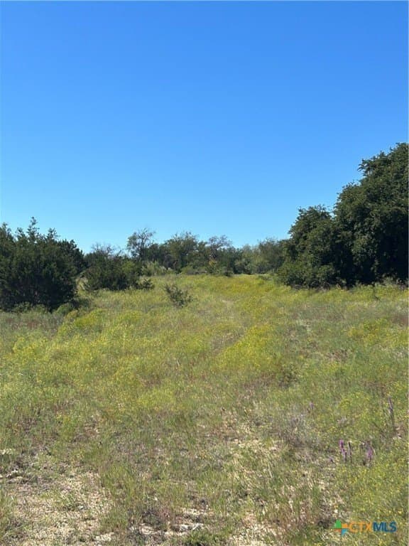312.24 acres in Coryell County - photo 27