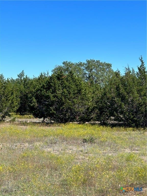 312.24 acres in Coryell County - photo 4
