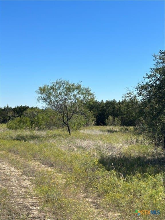312.24 acres in Coryell County - photo 8
