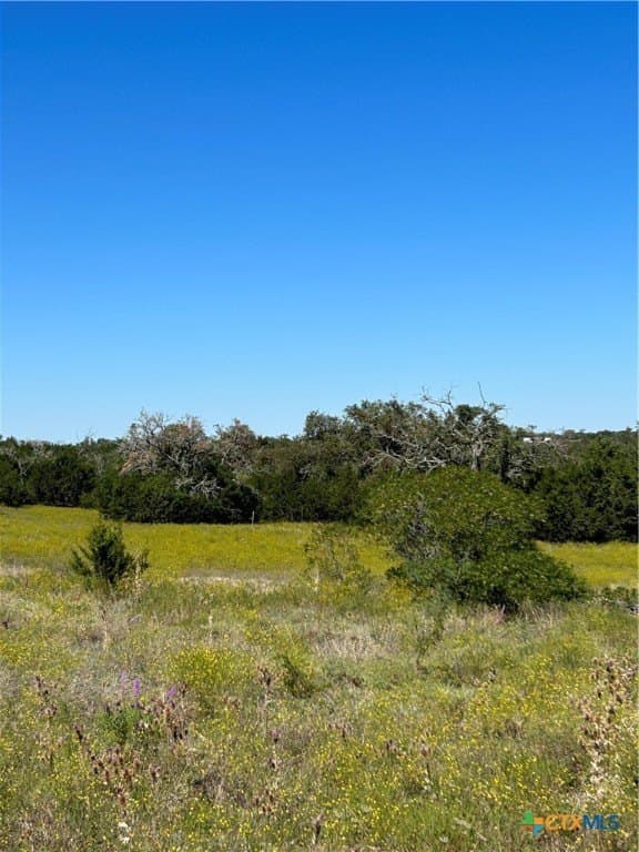 312.24 acres in Coryell County - photo 25