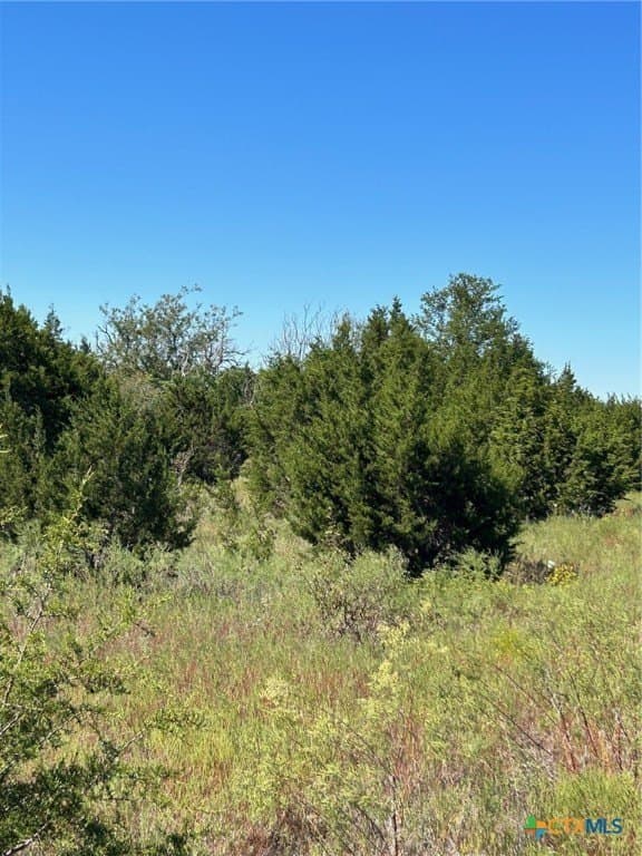 312.24 acres in Coryell County - photo 13