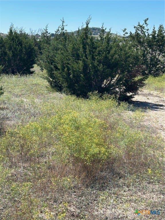 312.24 acres in Coryell County - photo 18