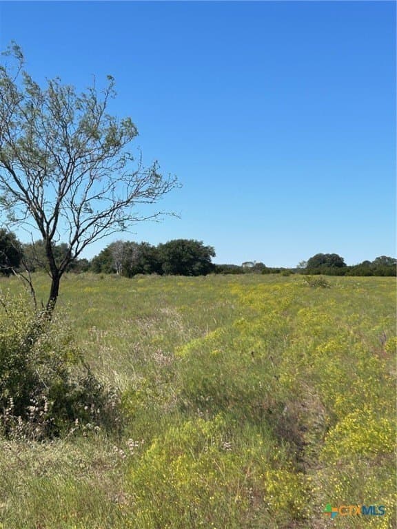 312.24 acres in Coryell County - photo 20