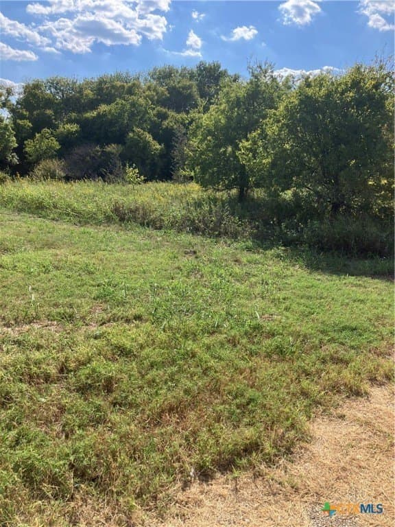 3.14 acres in Bell County - photo 2