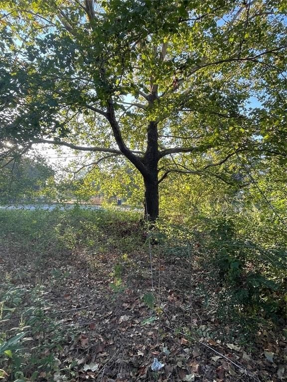 0.22 acres in Eastland County - photo 6