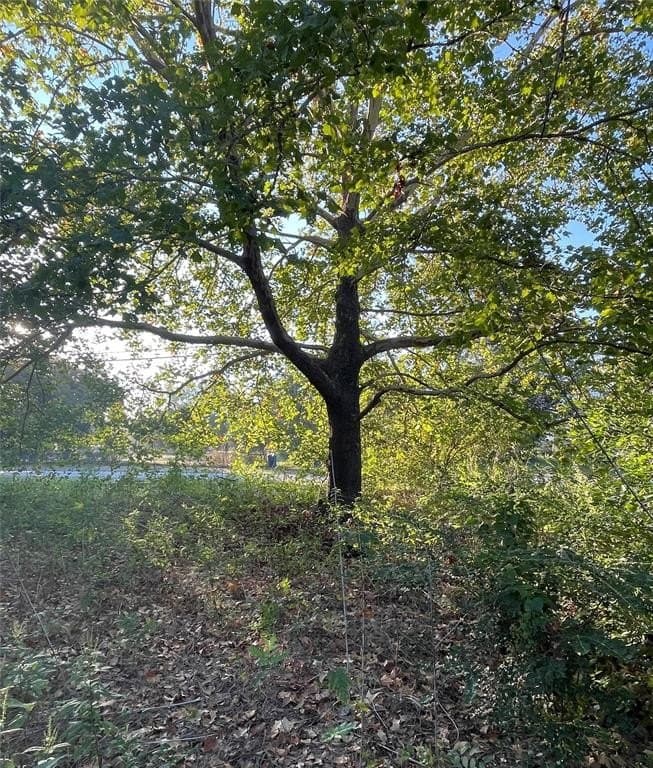 0.22 acres in Eastland County - photo 2