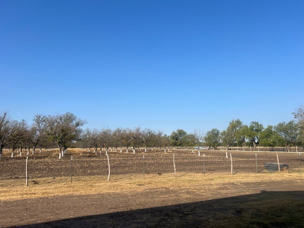 15.54 acres in Maverick County - photo 2