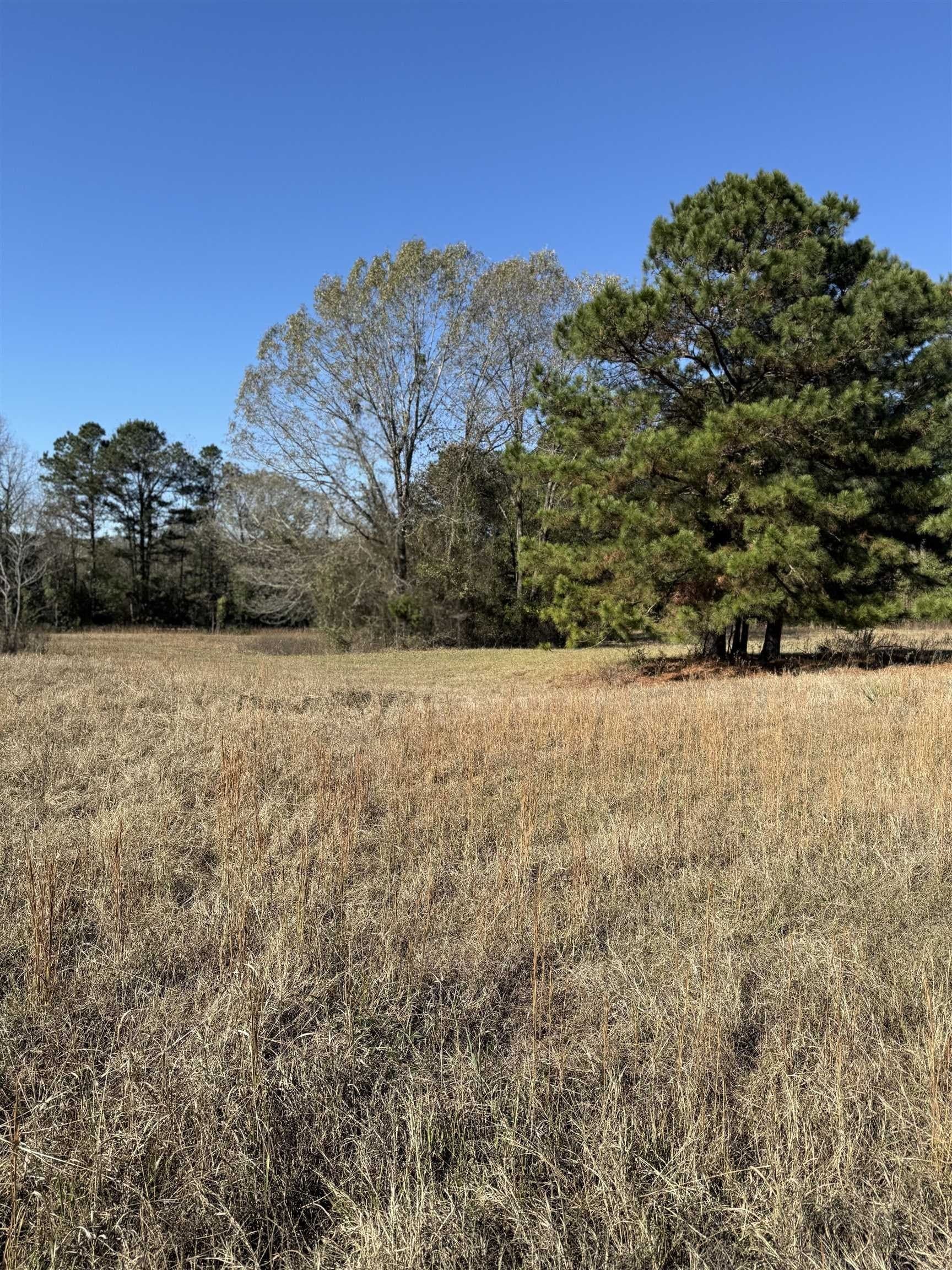 8.71 acres in Texas County - photo 3